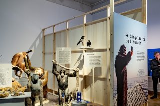 Les expositions consacrées aux sciences naturelles (comme ici à Lausanne) sont particulièrement prisées. KEYSTONE/JEAN-CHRISTOPHE BOTT